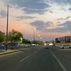 sult_510
