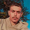 ali1143286