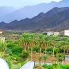 moataz_zaid.7