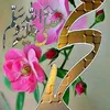 ijaz0808