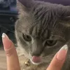 azuypy