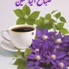 aishaaldimashqi