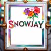 snowjay4