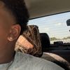 .imnextletsgo