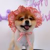 popcornwoof