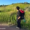 arsysholihinn