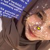 shyk1tty110