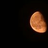 moooon1320