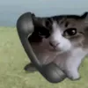 notmesaaaaaassaaa