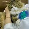 userdvuuw618hb