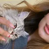 roro_27277