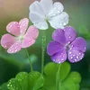 vananh85hy