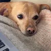 greedyxneedy