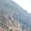 kentang2678