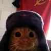 russiancat_0