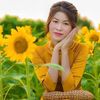 phuongmei8