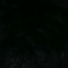 aa_nyalse