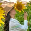 sunflower.0016