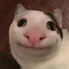weoomemem