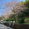 user1404134572638