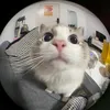 andrei_17368