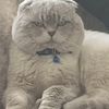 annem_02.02.1950