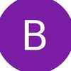 badramir501