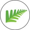 fernprojects