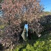 user2qdcz6wk6h