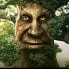 malicrniante