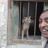 سنانير على الفحم