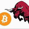 _dailycryptobulls