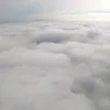 latajacysokol