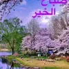 haydara.13