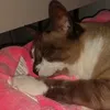 aurora...ata