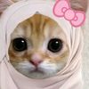 lily42862
