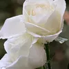 user43difq0rwa
