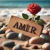 amir0311900