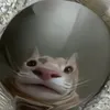 blahblahbbc