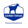 sumberternak.id