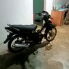 maulana23514