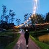 dian_mer