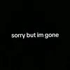 sorrybut_im.gone