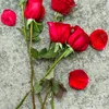 fauziah.arsad