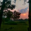 prosenjitdas1105