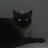 plxcvyy0