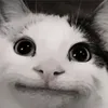 lubie_wode1
