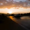 wardshibli27