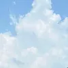 ako.611