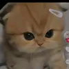 huong_ni7